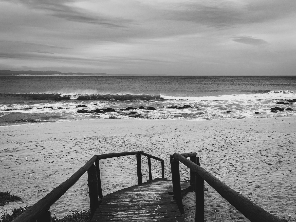 NomadsNature's tweet photo. Jeffreys Bay 2023: Photo Highlights - Part 4

Sunshine Coast is an apt description of a coastal belt beset with countless little villages, each offering access to beaches, rivers, lagoons and hiking trails that stretch between the Tsitsikamma and East London in the Eastern Cape. https://t.co/lOTn7yzrBd