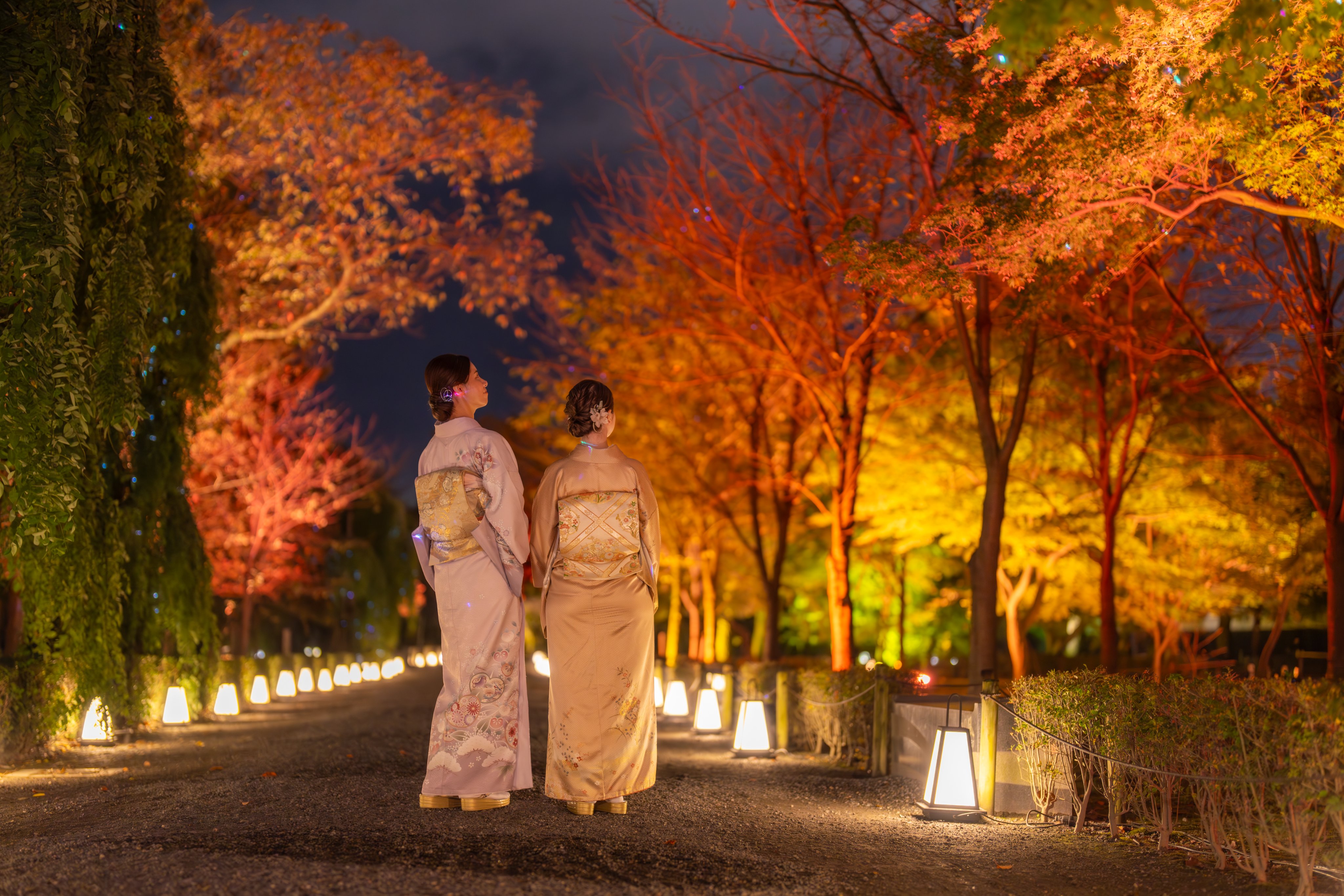 NAKED meets 二条城 2025 桜 on X: 