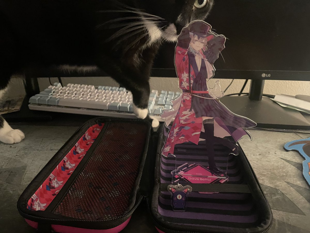 N1SenseiForever's tweet photo. It’s been a LONG day. Bettel’s 3D merch is a great way to end the day. 😆 https://t.co/pG93iz1orV