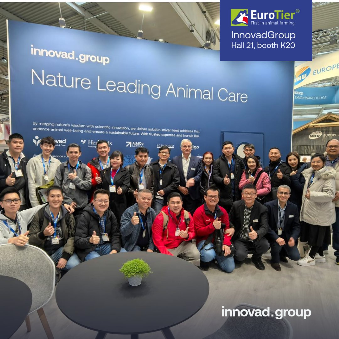 Innovad Group tweet media