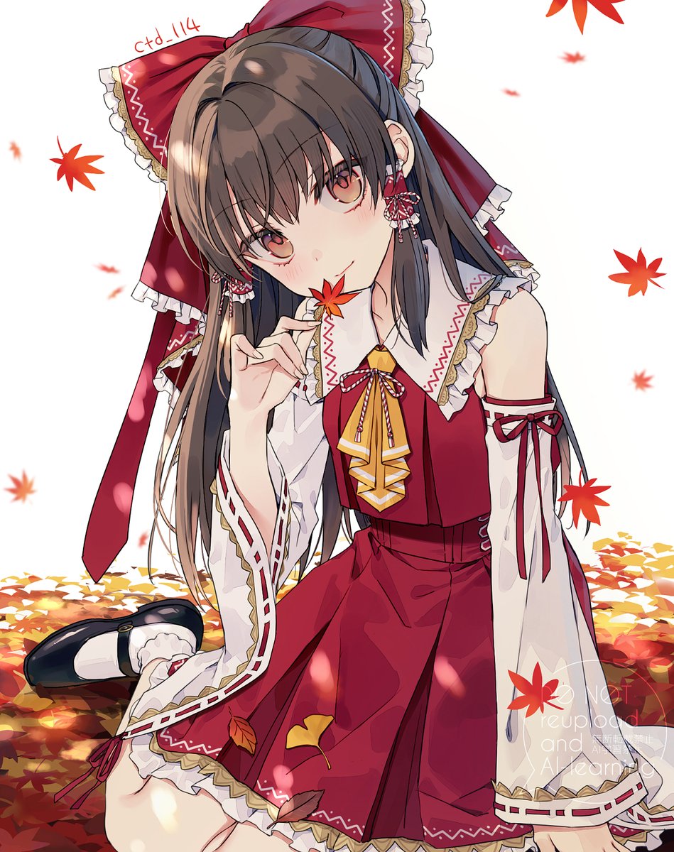 ctd_114's tweet photo. 霊夢ちゃん　#東方Project https://t.co/Badxu3xvJI