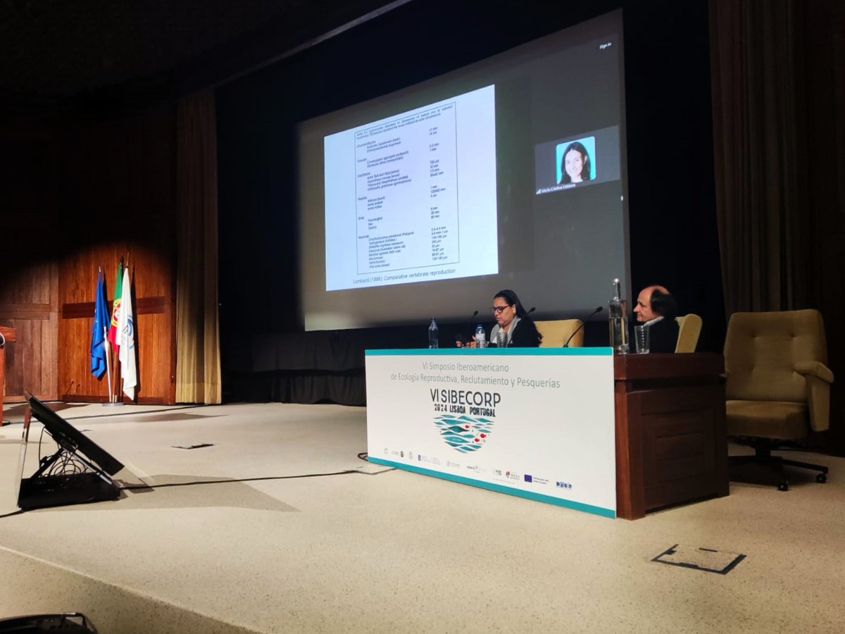 invipesca's tweet photo. La doctora María Cristina Oddone abre la sesión 4 del #VISIBECORP con una ponencia sobre la morfología y función de los modos reproductivos en condrictios y propuesta de una nueva clasificación para la viviparidad saco vitelina. El programa continúa con las presentaciones orales https://t.co/c4YXzhS047
