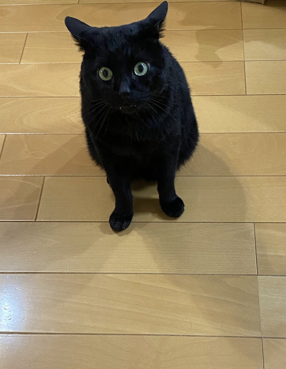 私の心はこれからもずっとあなたのものです。