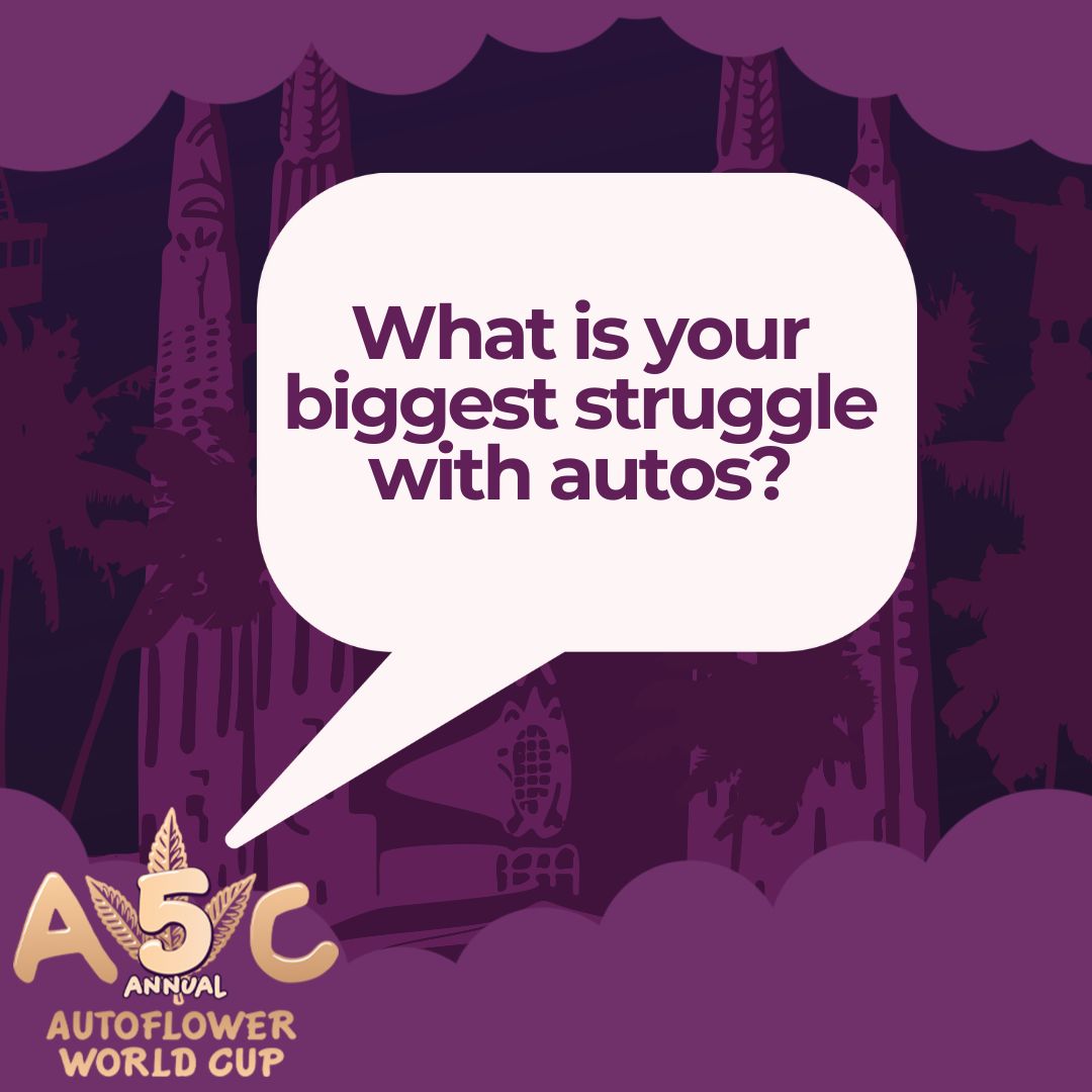 InfoAutoflower1's tweet image. Comment your conSTRAINts. Let’s do some brainstorming with the autos community 👀💚🌿
#autoflowers #growmies #brainstorming #awc25