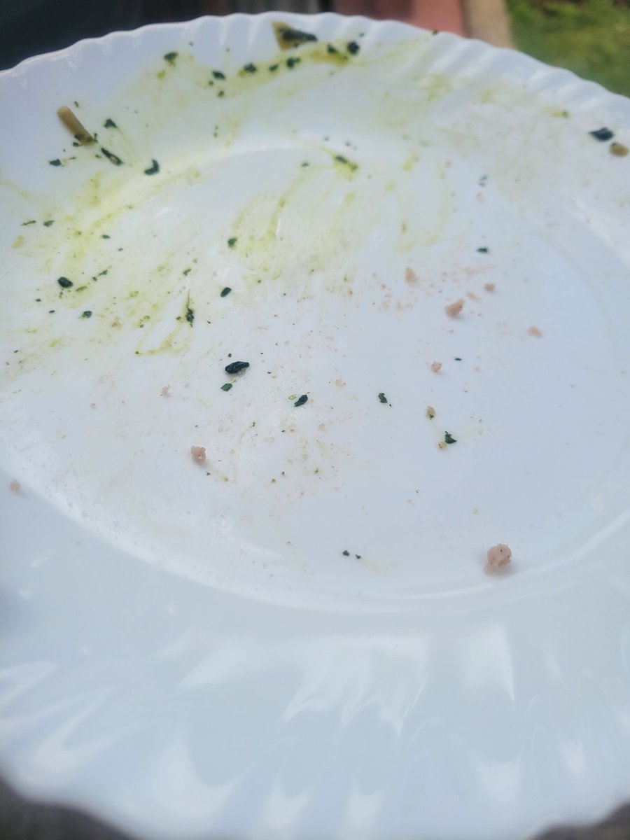 Just finished my plate of mrenda and brown ugali.  

🤣🤣 watu wa codeversations hamtanitisha btw