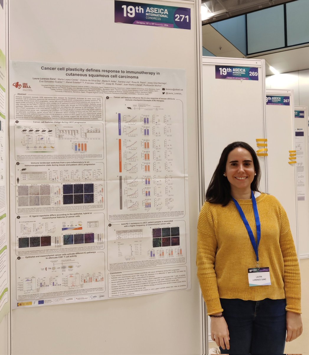 Excited to attend the 19th ASEICA International Congress <a href="/ASEICAnews/">ASEICA</a> in Zaragoza! Come visit poster #271 to know about our recently published project on how cancer cell plasticity influences #immunotherapy response in skin tumors! 👩🏻‍🔬