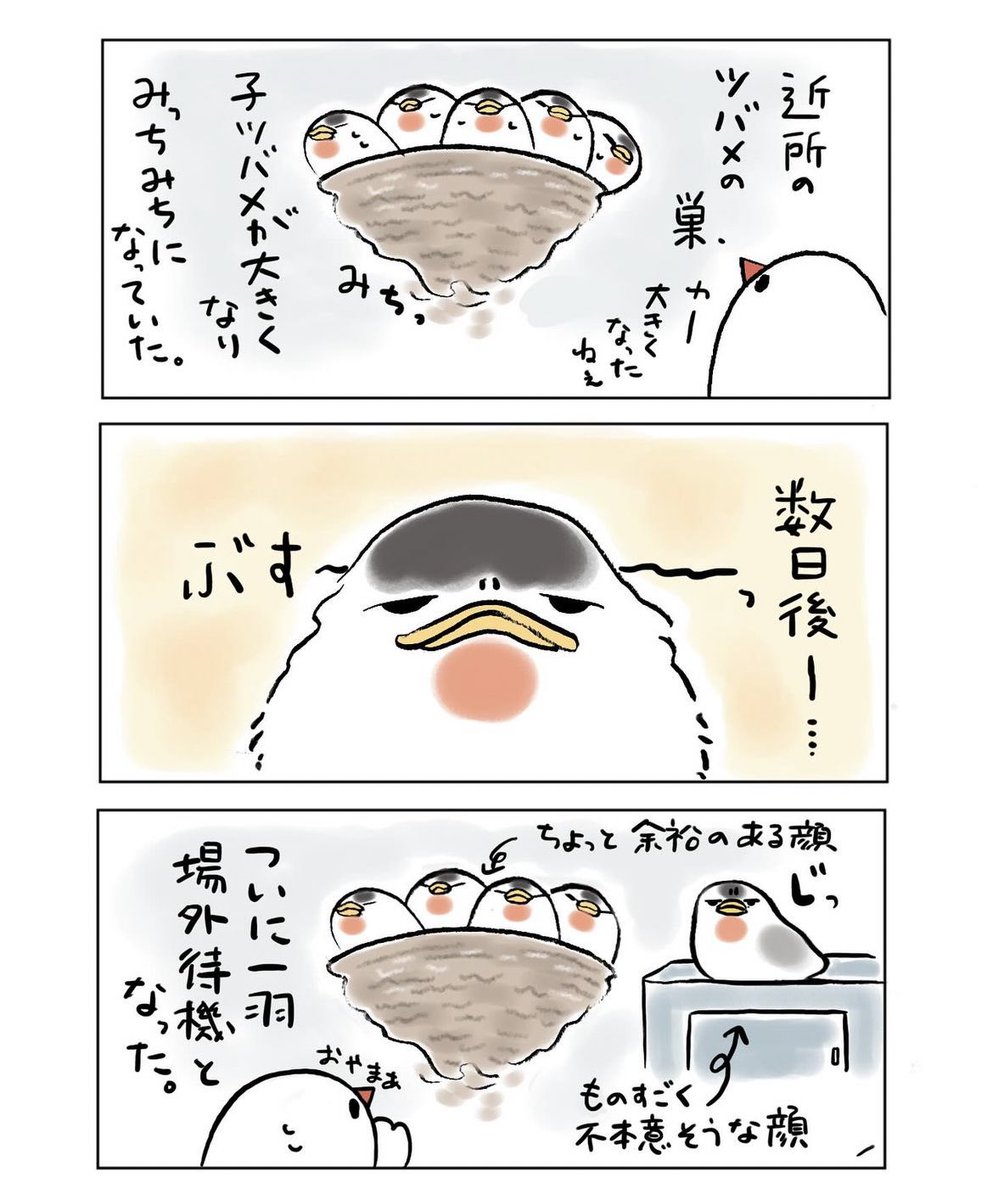 明日も20〜21時にイラスト投稿します🐦
佐渡日記(再掲) 