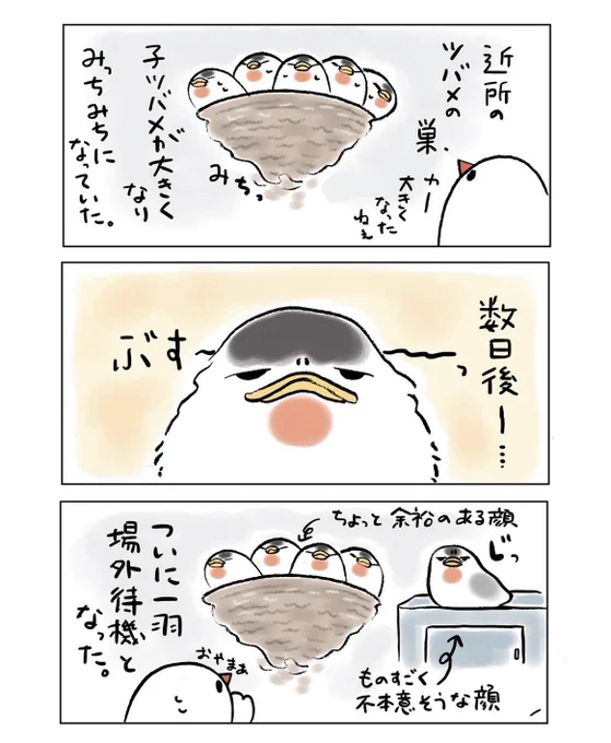 明日も20〜21時にイラスト投稿します🐦
佐渡日記(再掲) 