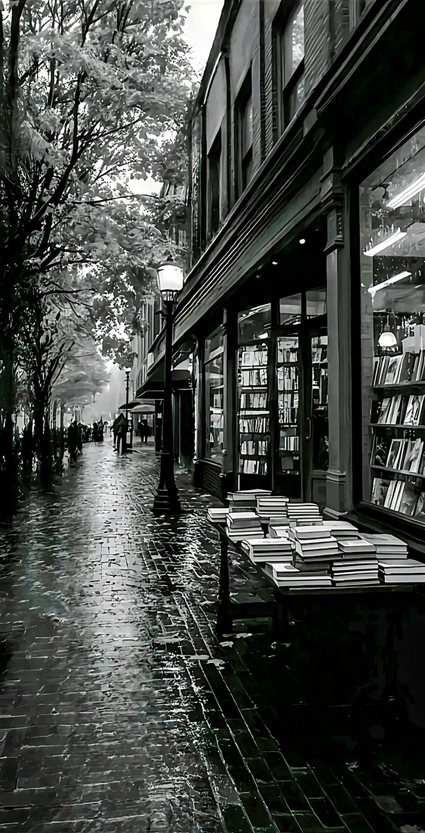 A Novel a Story.❈❈