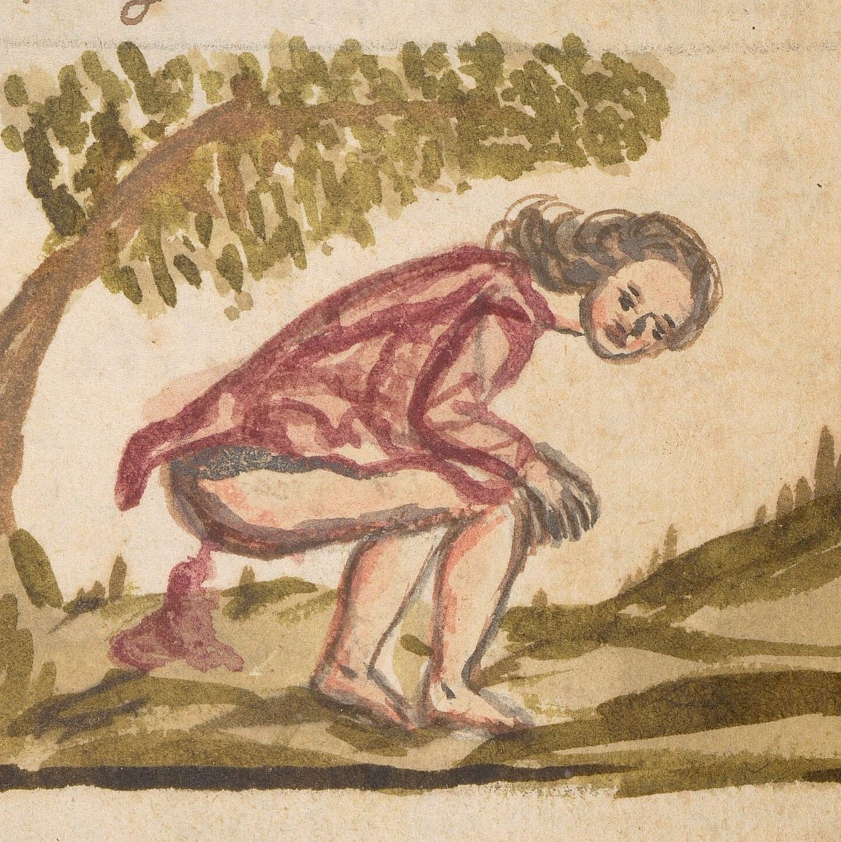 Wellcome Collection tweet media