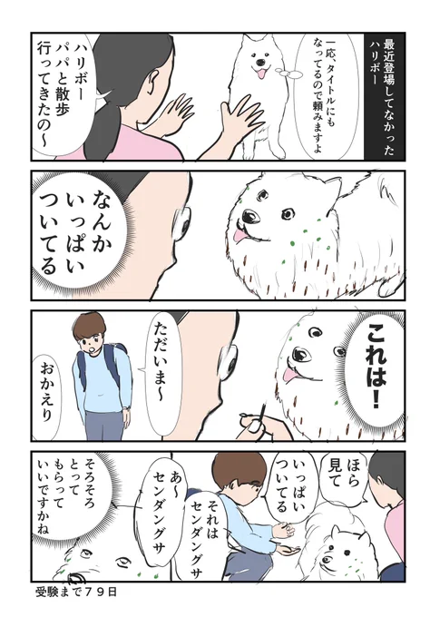 子鉄とハリボー211〜秋のさんぽ〜
#マンガが読めるハッシュタグ #中学受験 
#サモエド犬 
スラムダンク投稿集まってきました!まとめられそうかな🏀いつもありがとうございます🙏 
