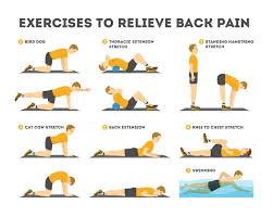 Vits50195140's tweet photo. Common exercises to relieve low back pain. 
#careforyourlowback https://t.co/7OznF6VIsg