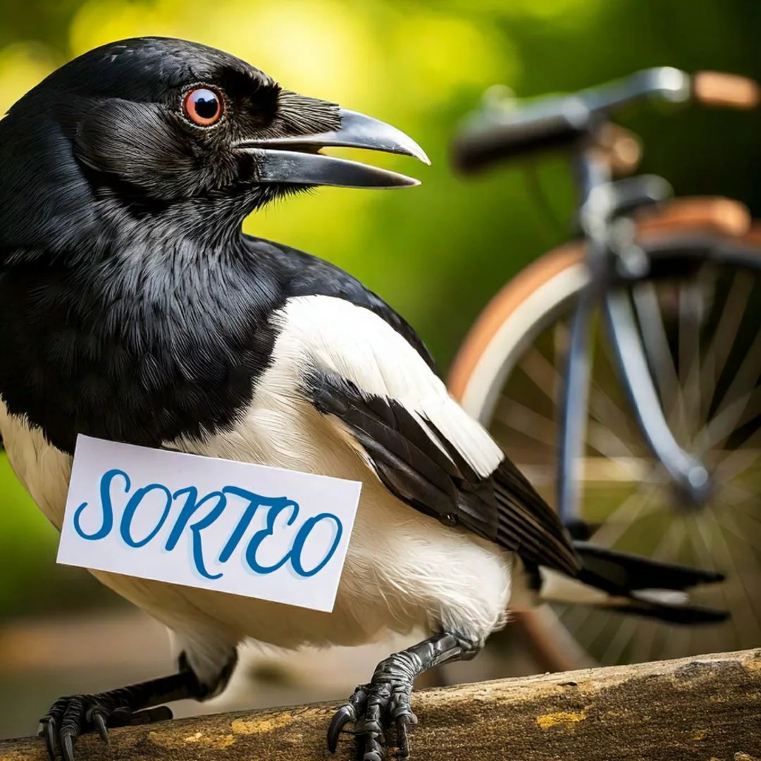 ¡SORTEO!🥇El seleccionado ganará una pegatina, un parche y una camiseta oficiales de @lapajarocleta 

Para participar deberás:
· ✔️Ser seguidor de nuestro perfil.
· ✔️Mencionar a 2 amigxs en comentarios.

⌛Fin del sorteo 22/11/2024. Válido sólo para residentes en península.