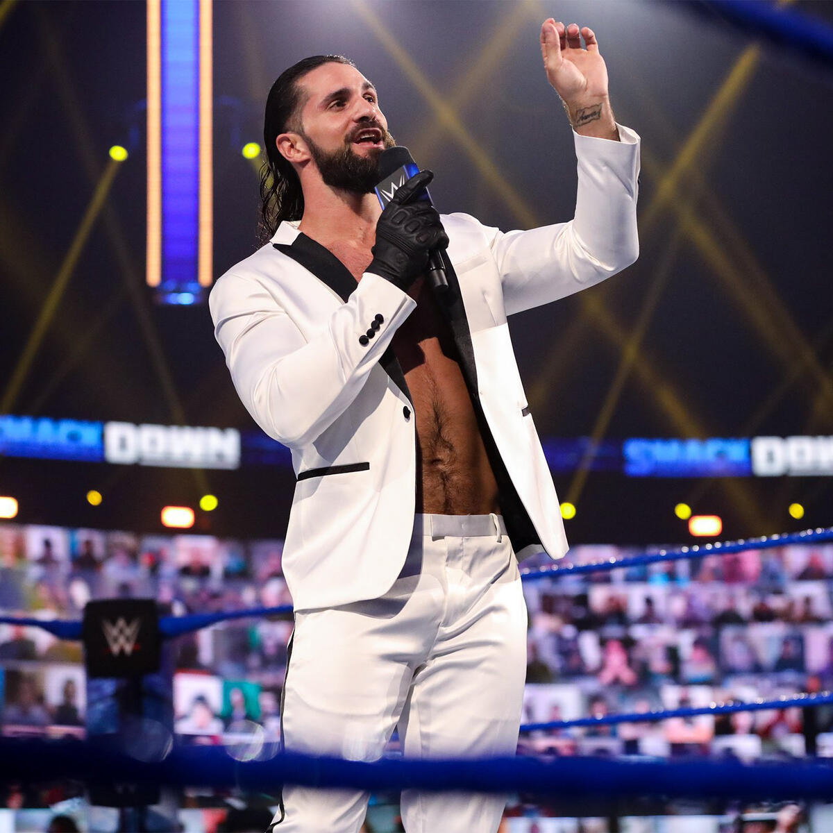 Daily <a href="/WWERollins/">Seth Rollins</a> image