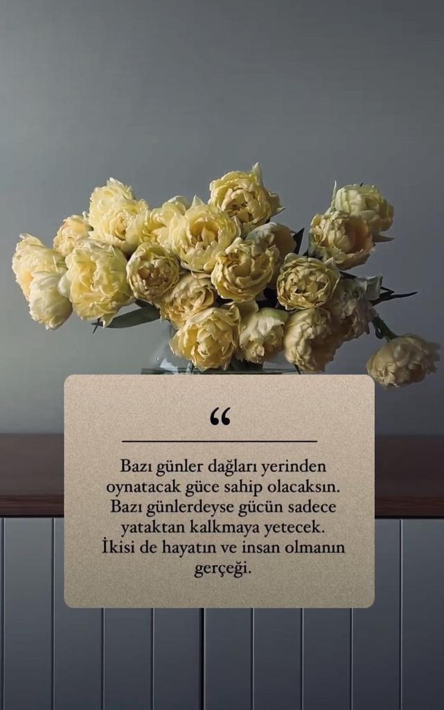 Mavera (@acz_mavera) on Twitter photo 