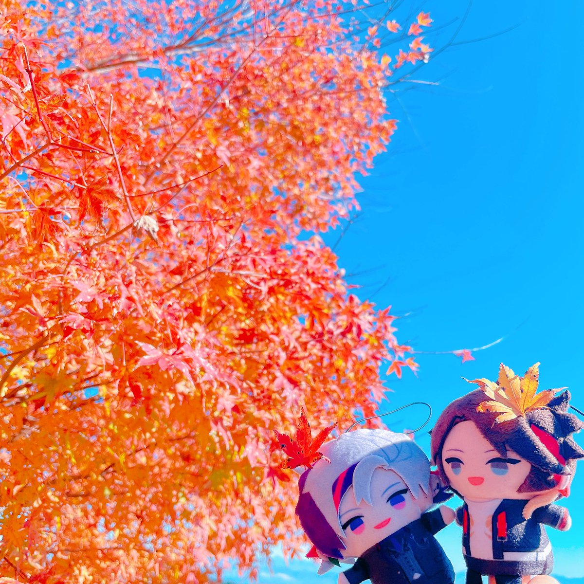 「フォロワーと突然みにいった紅葉 」|おもクソのイラスト