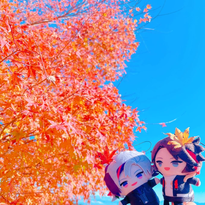 フォロワーと突然みにいった紅葉 