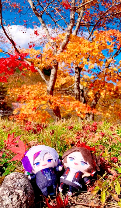 フォロワーと突然みにいった紅葉 
