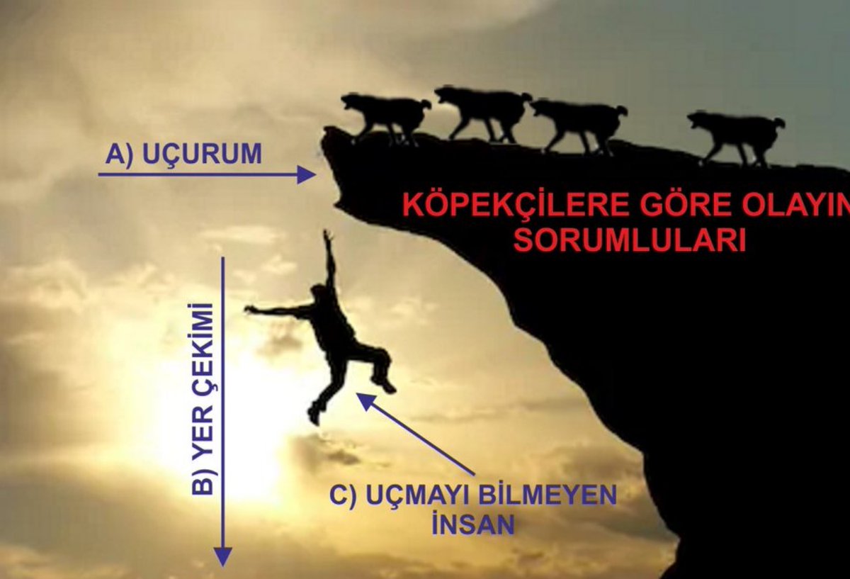 timsahder's tweet photo. Başıboş it lobisine göre sorumlu it ve kendileri dışında herkes ve her şeydir. https://t.co/a9LoUk6uIm