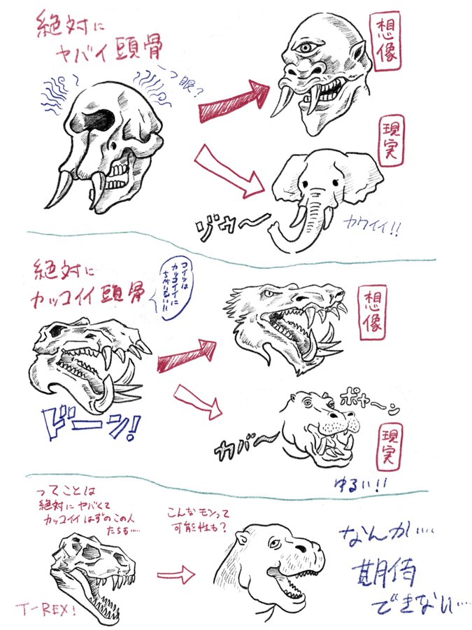 sta_labo's tweet photo. 骨格から復元した顔は信じない https://t.co/5aUwkUdTeG