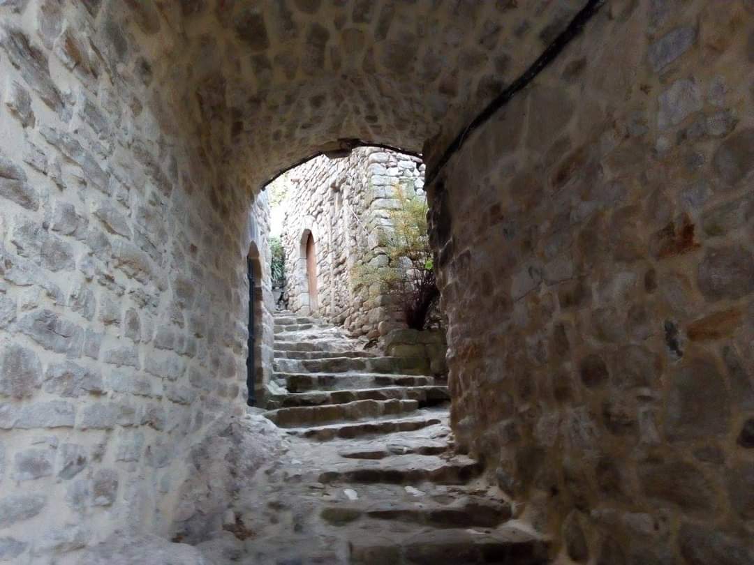 ChristineAitel1's tweet photo. Il reste dans des coins perdus, des gens si humbles, si simples, pénétrés de leur foi , que les décrire, les écouter, les voir vivre et faire partie d'eux est un honneur. #campagne #Cevenol #Ruralité #ChassePartage #Village https://t.co/BS7VnTZdgW