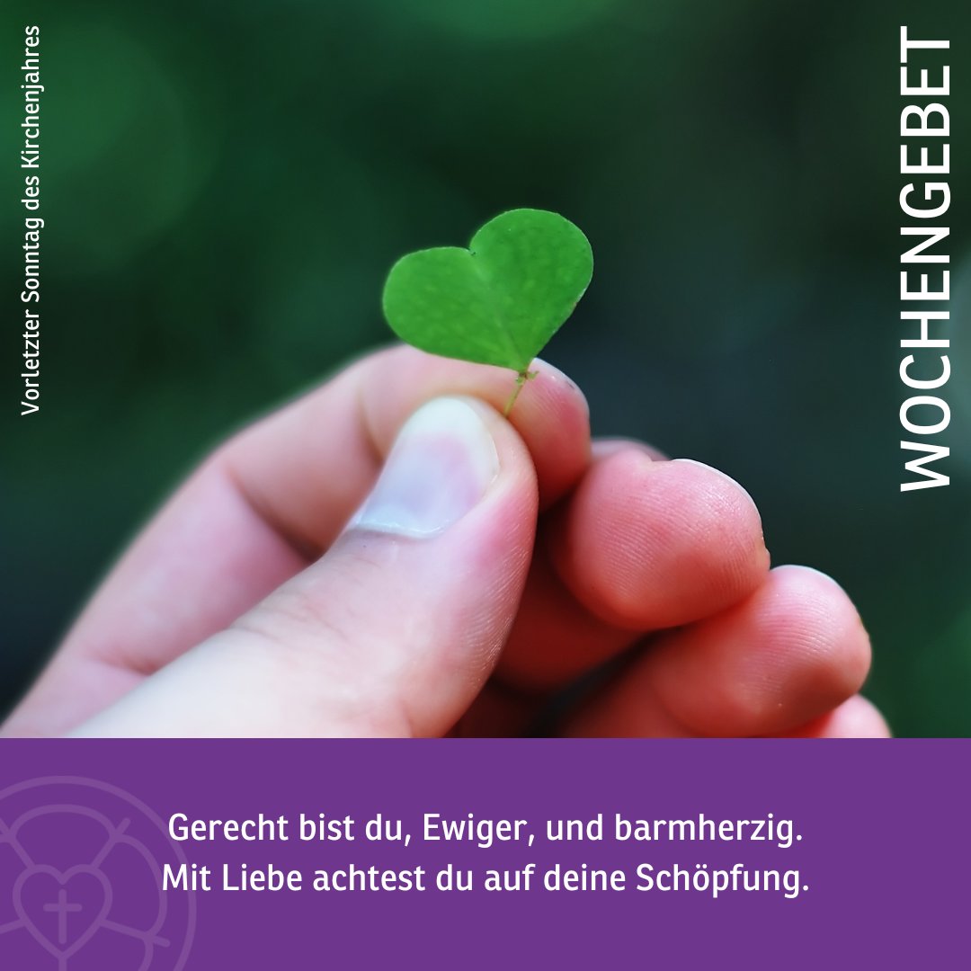 Gerecht bist du,
Ewiger,
und barmherzig.
Mit Liebe achtest du auf deine Schöpfung.
🙏
Das vollständige Wochengebet zum vorletzten Sonntag des Kirchenjahres steht auf unserer Internetseite: velkd.de/schwerpunkte/l…