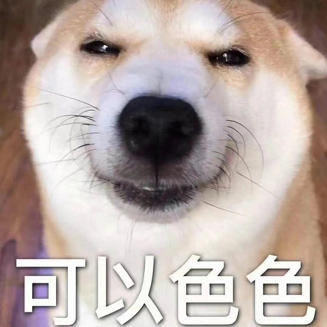 快乐修狗 tweet media