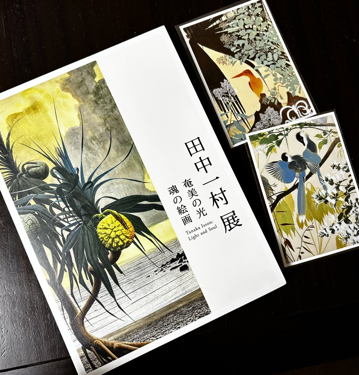田中一村展に行って来ました。展示CMを見て「いい絵だな〜」と思って予備知識なしで行ったんですが、すごく良かったです!!幼少期から晩年の絵まで時系列で展示されており、田中一村の人生を追体験できる流れになっていました。 