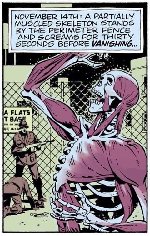 Happy ‘screaming partially muscled skeleton’ day to all who celebrate.