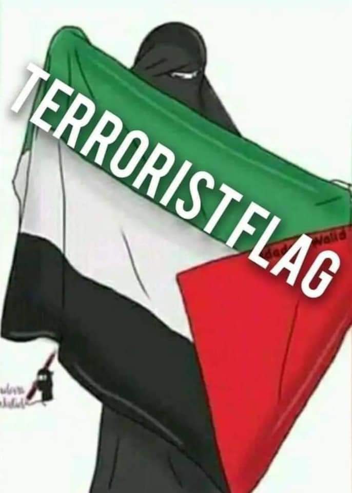 Marco Van Der Meij tweet media