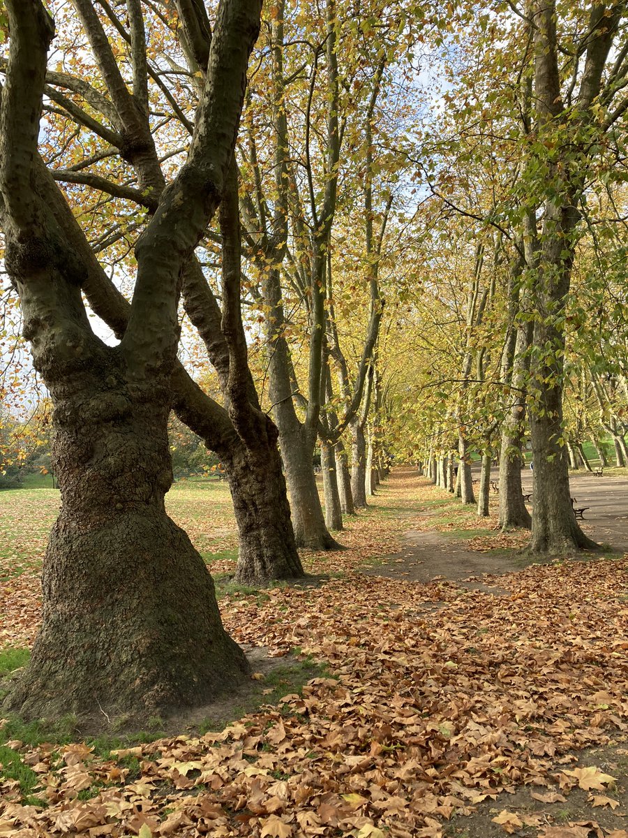 Sarah Hodder tweet media