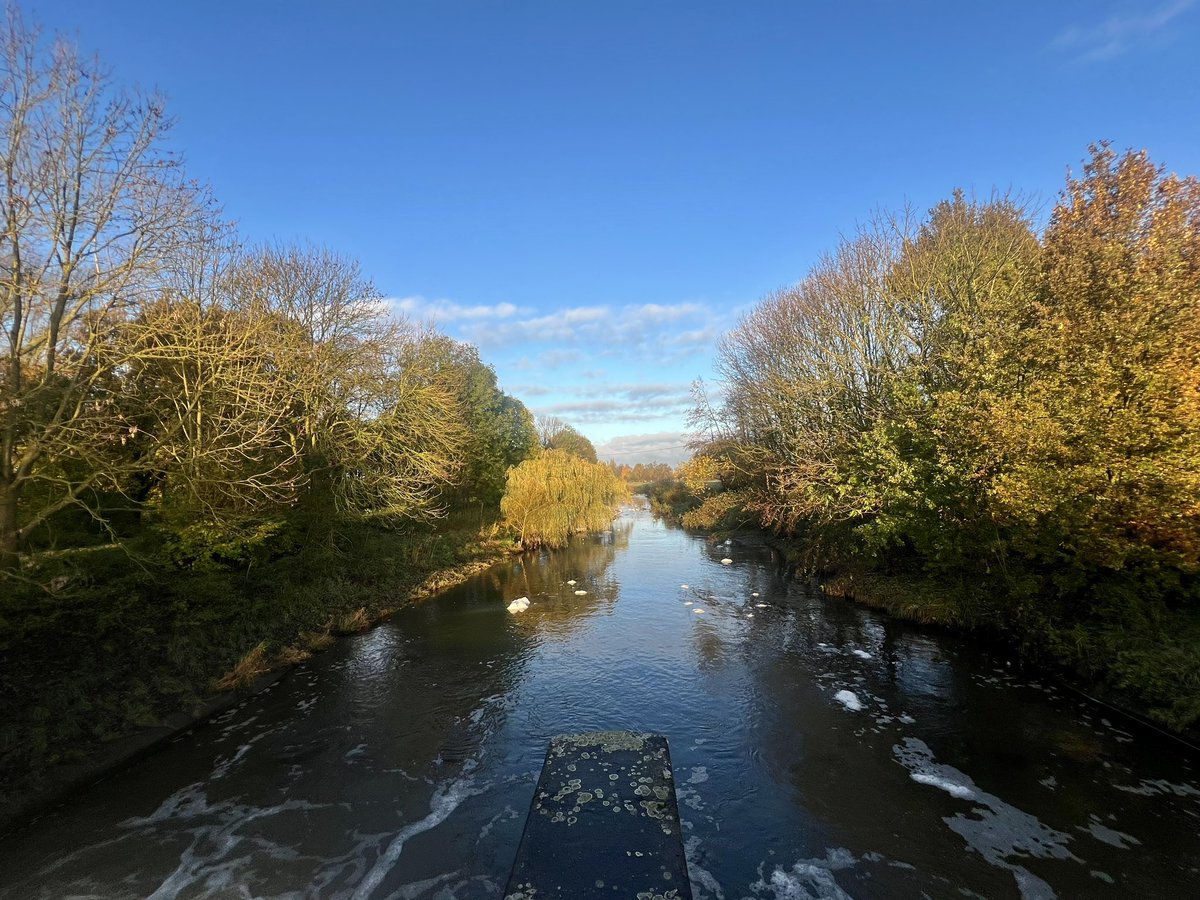 Jaaaaaa
Ze is er weer

💛

#donderdag #zonochtend #achterhoek #grenszland #onverwachtehoek #mooihe