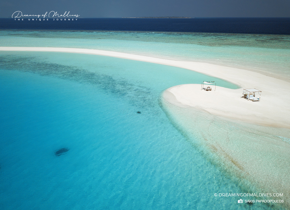 dreamofmaldives's tweet photo. Maldives sandbanks are Dreams Come True 💙
more photos 🌴 https://t.co/WVKBwynVmN

📷- @sakis_photo
#maldives #photography https://t.co/8DKdphRCwX