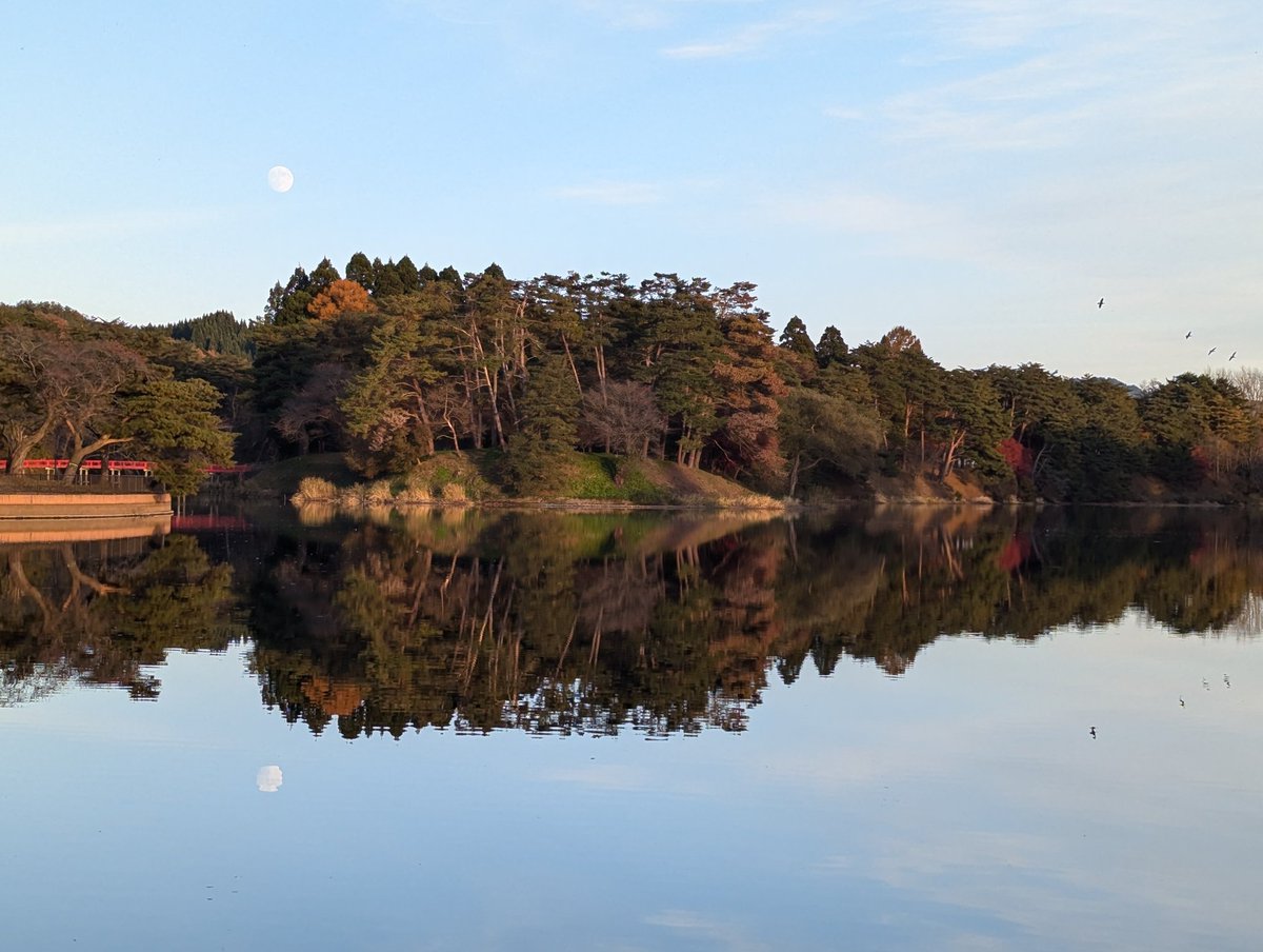 dreamdragon32's tweet photo. 1114鷹巣中央公園（北秋田市脇神）

綺麗に色付く葉 https://t.co/6Fzn2Bd3EW