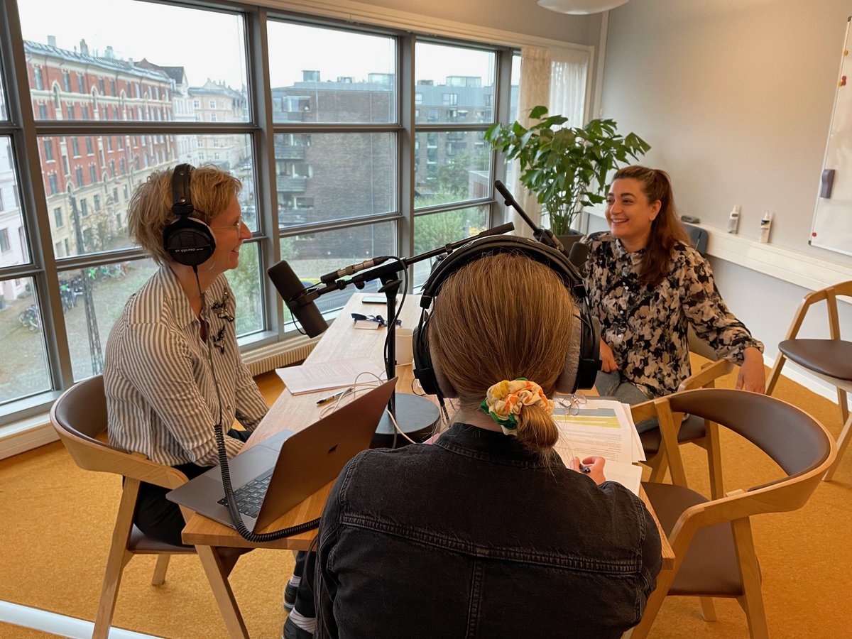 DIIS Denmark tweet media