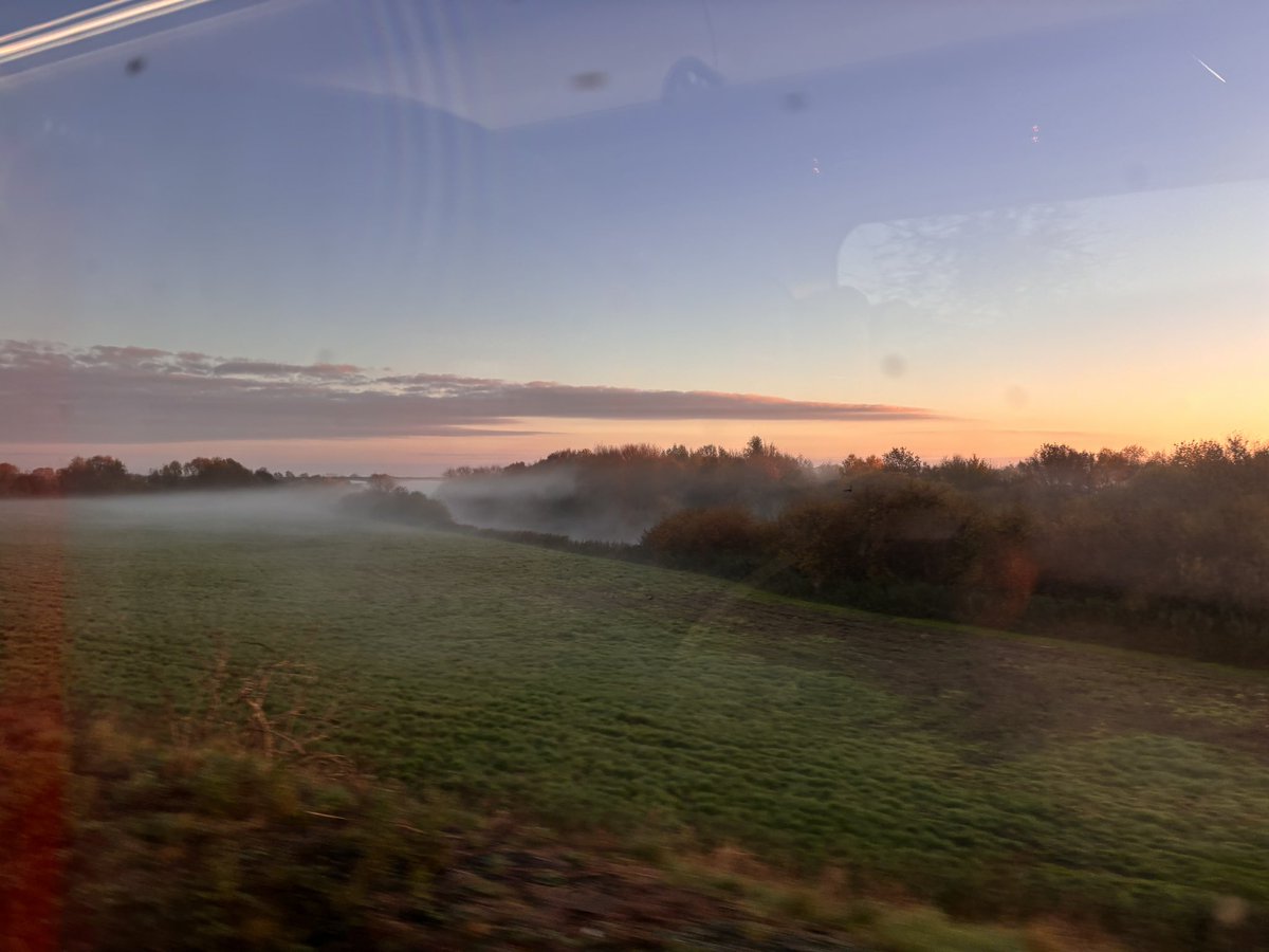 Adele Pearson tweet media