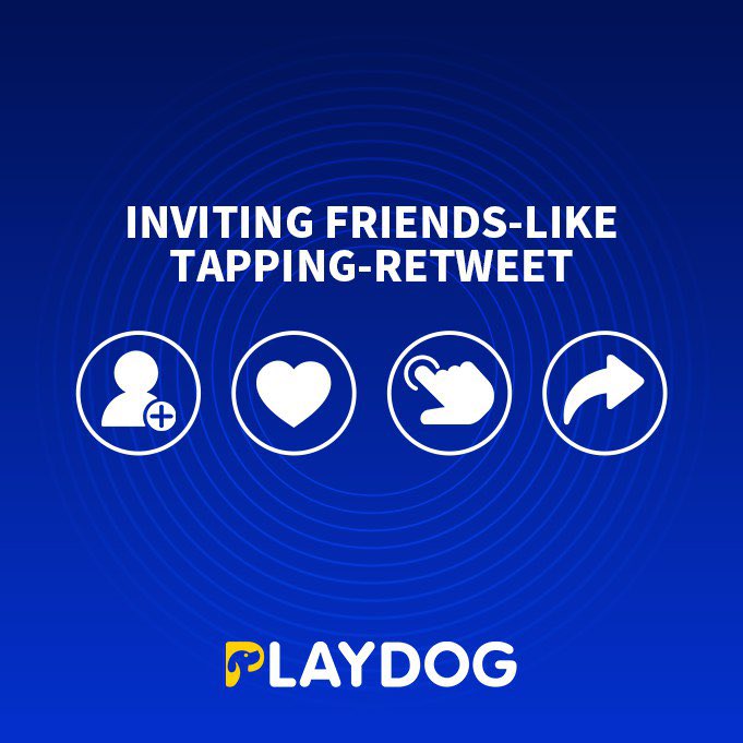 PLAYDOG tweet media