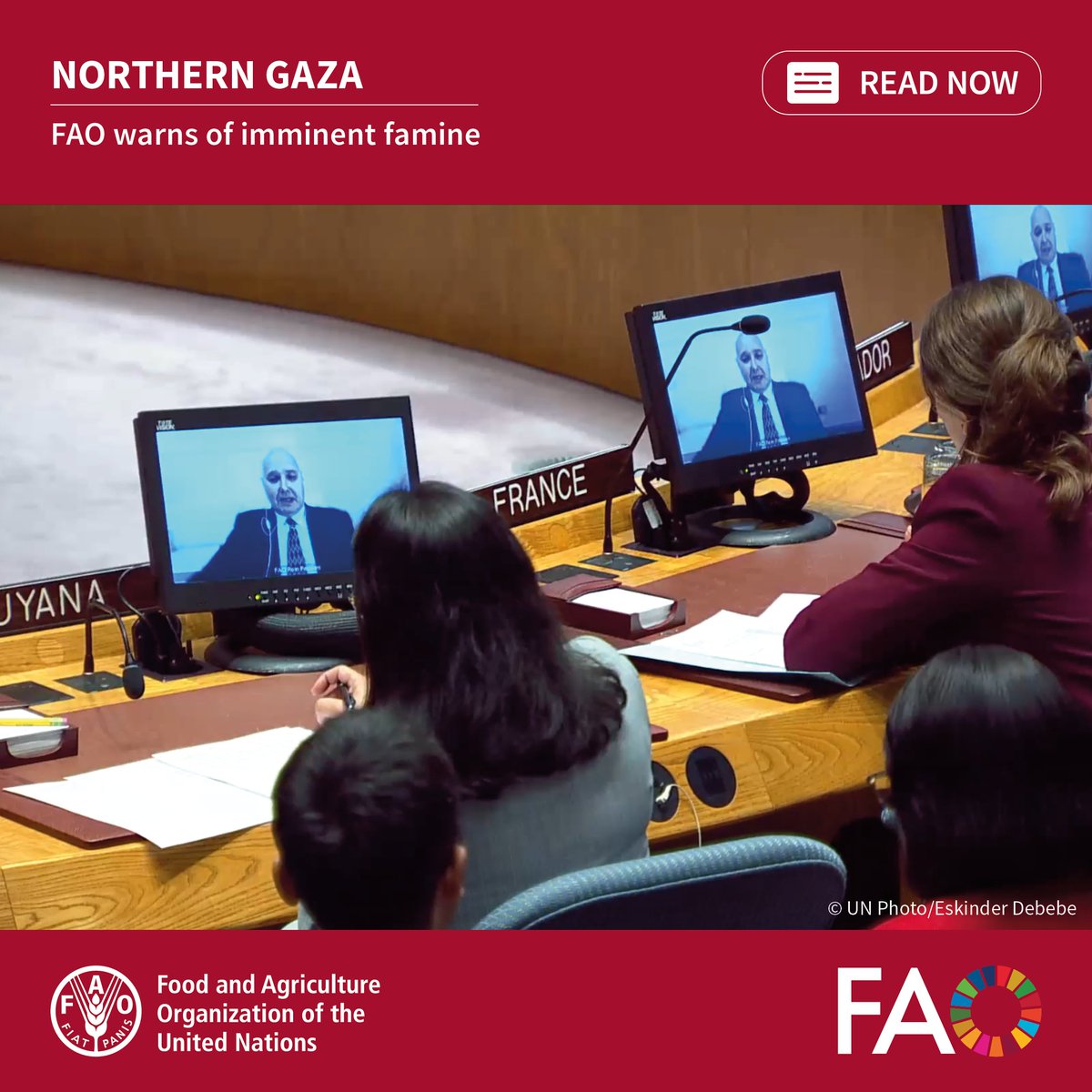 In a <a href="/UN/">United Nations</a> Security Council briefing, <a href="/FAO/">Food and Agriculture Organization</a> warns of imminent famine in northern Gaza due to conflict, agrifood system collapse, and constraints to humanitarian access.

<a href="/FAOemergencies/">FAO in Emergencies</a> Director <a href="/reinpaulsen/">Rein Paulsen</a> calls for urgent diplomatic efforts to save lives.

bit.ly/4hOFOx3