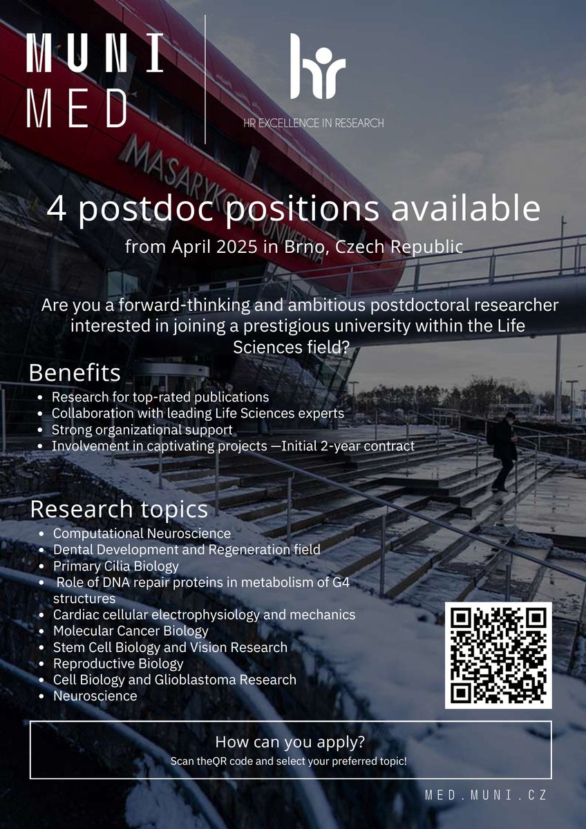 Science_MEDMUNI's tweet photo. Join the prestigeous research institution in the ❤️of Europe, in the student city @brnomycity 
Faculty of medicine seeks motivated candidates to join our excellent research teams
4⃣ funded postdoctoral positions for 24 months are available
🧵👇 https://t.co/NOtD9j3vjT