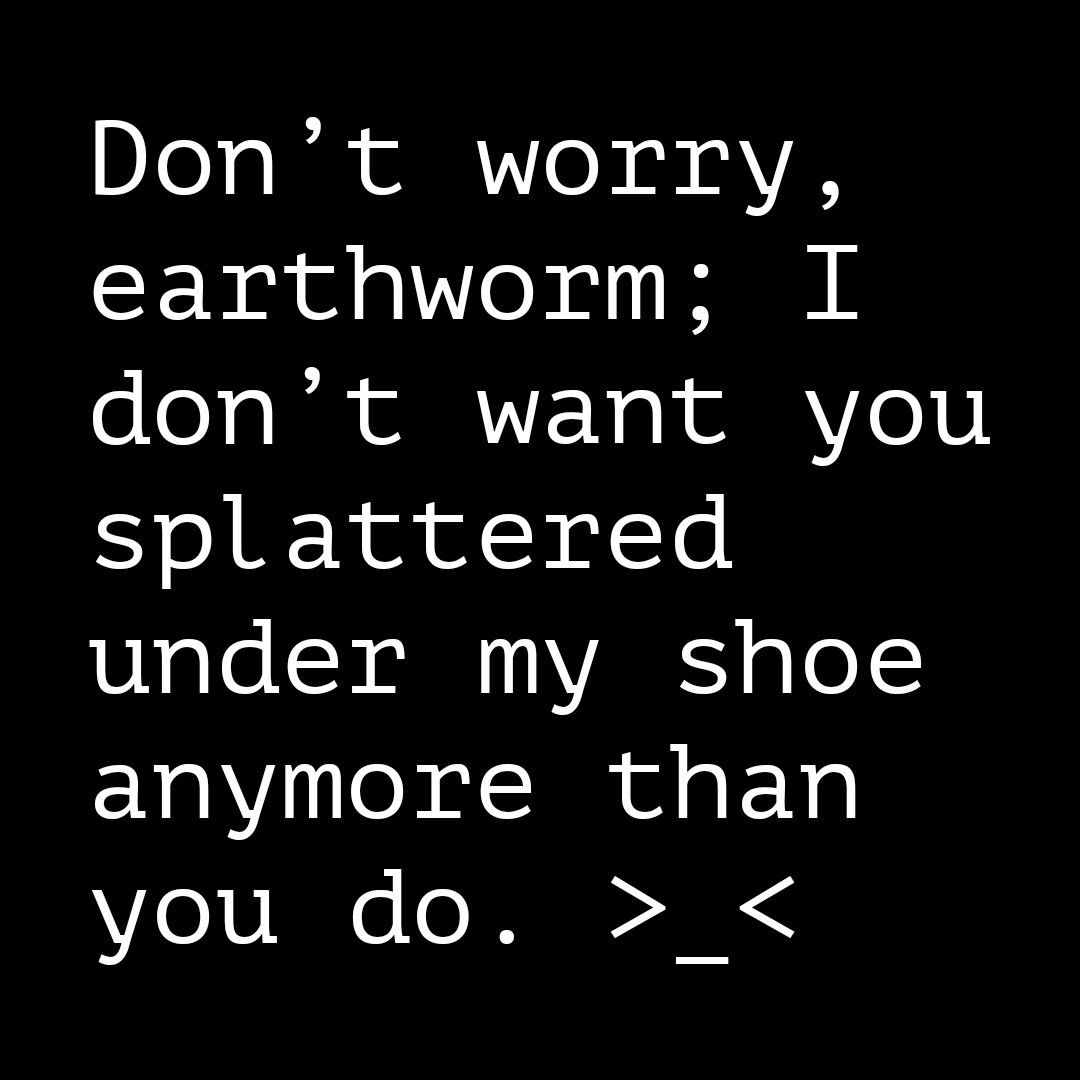 dusfive's tweet image. 