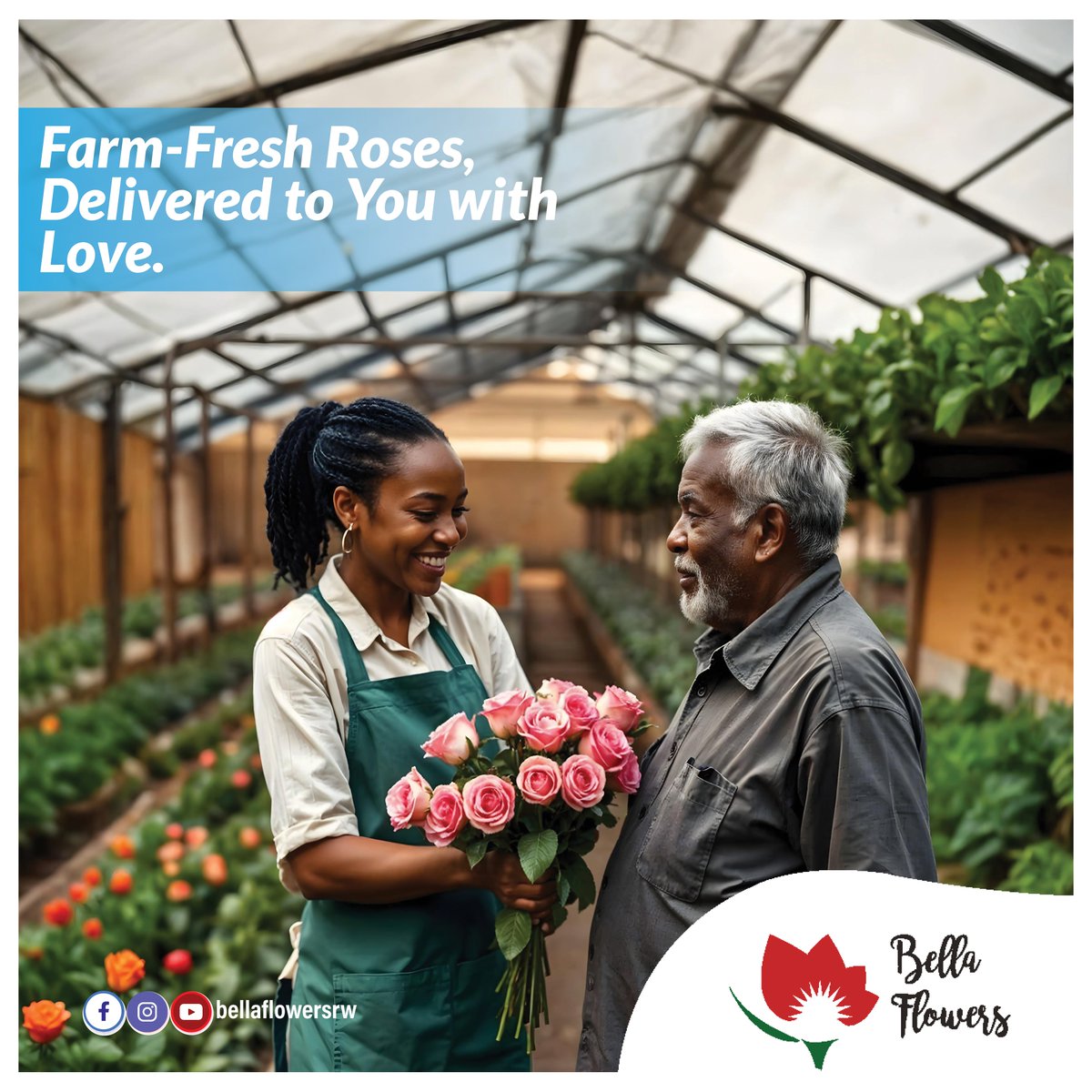 BellaFlowersRw's tweet photo. Ready to surprise someone special? Our farm-fresh roses are just a click away! Brighten up their day with a beautiful bouquet, delivered to their doorstep. #bellaflowers #freshroses https://t.co/U3dOIxknUe