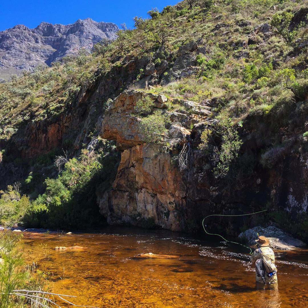 fosafflyfishing's tweet photo. The trout flyfishing report for the Western Cape has been posted at https://t.co/KBGJw58wyM https://t.co/VT6SOf5TNz