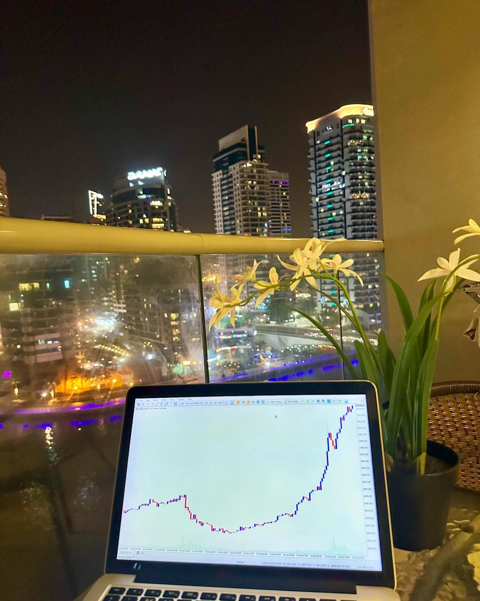 zoegarifa's tweet photo. Mid night Grinding 💰🏆 https://t.co/owc7w6C8LZ