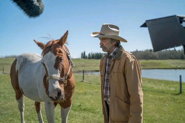 TheRealshaun23's tweet photo. There's no stronger bond. Jack &amp; Paint ❤🐎🤠 https://t.co/1aPH5a8oQT