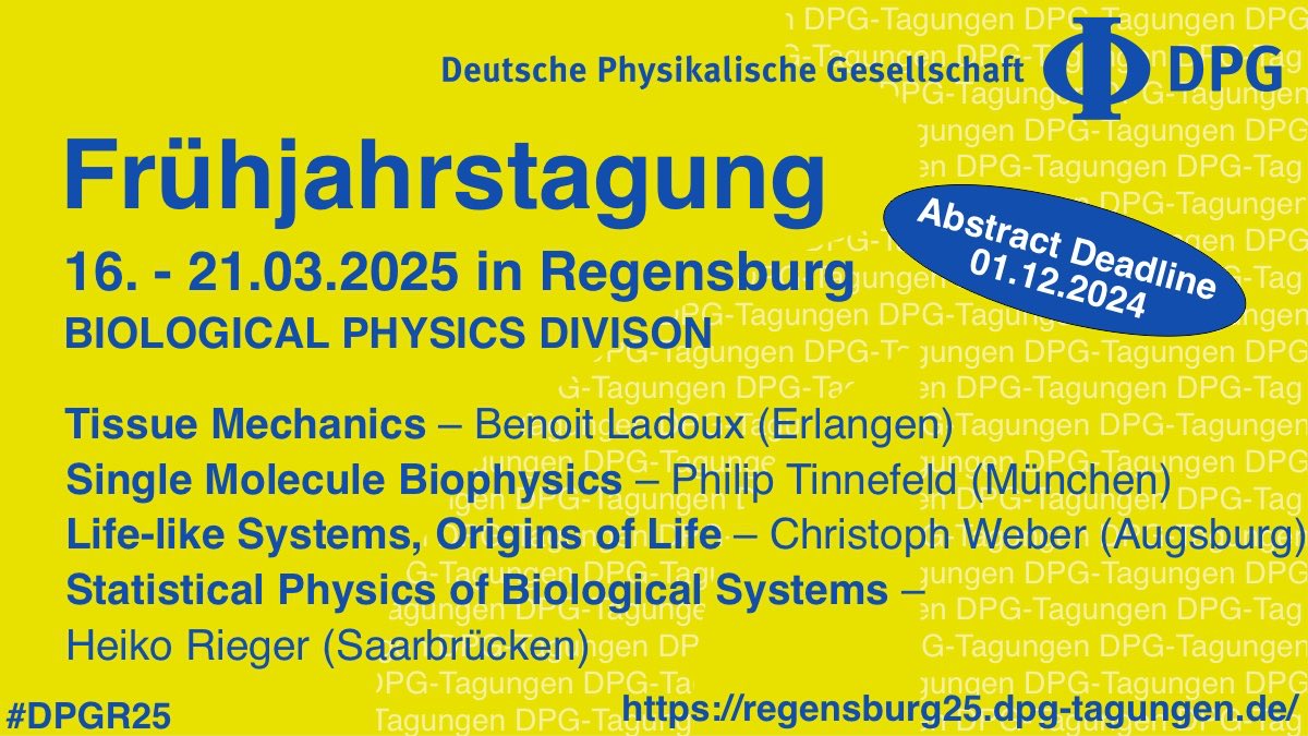 Kerstin Blank (@singlemolecules) on Twitter photo Thrilled to announce more invited speakers for #BiologicalPhysics at #DPGR25: <a href="/PhilipTinnefeld/">Philip Tinnefeld</a>, Christoph <a href="/WebersGroup/">Mesoscopic Physics of Life (MPol) - Weber Group</a>, Heiko Rieger and Benoit Ladoux will share insights from single-molecule detection to tissue mechanics. Submit your abstract by Dec 1, 2024, to join us! Thrilled to announce more invited speakers for #BiologicalPhysics at #DPGR25: <a href="/PhilipTinnefeld/">Philip Tinnefeld</a>, Christoph <a href="/WebersGroup/">Mesoscopic Physics of Life (MPol) - Weber Group</a>, Heiko Rieger and Benoit Ladoux will share insights from single-molecule detection to tissue mechanics. Submit your abstract by Dec 1, 2024, to join us!