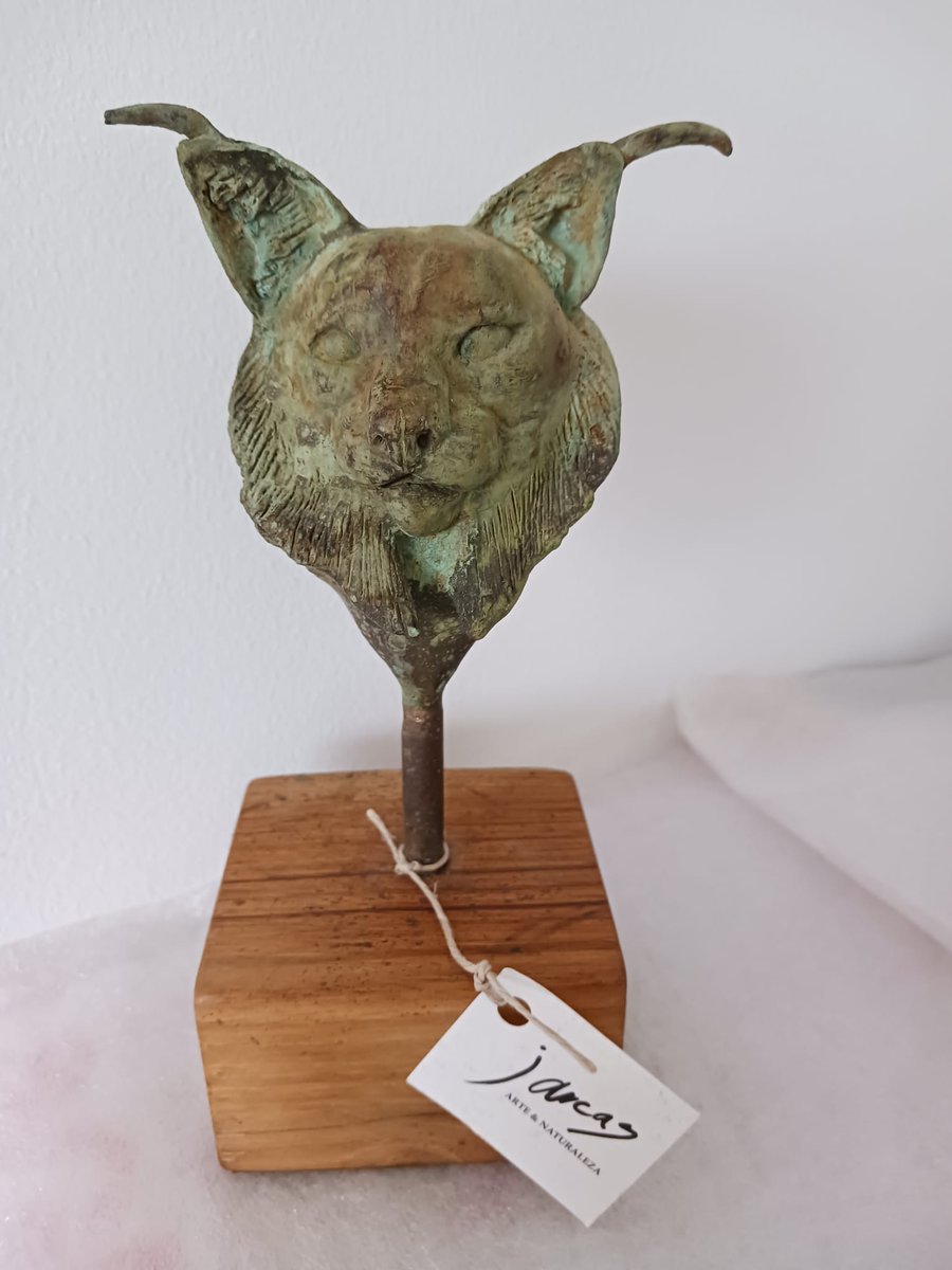 encuentronaturewatch tweet media