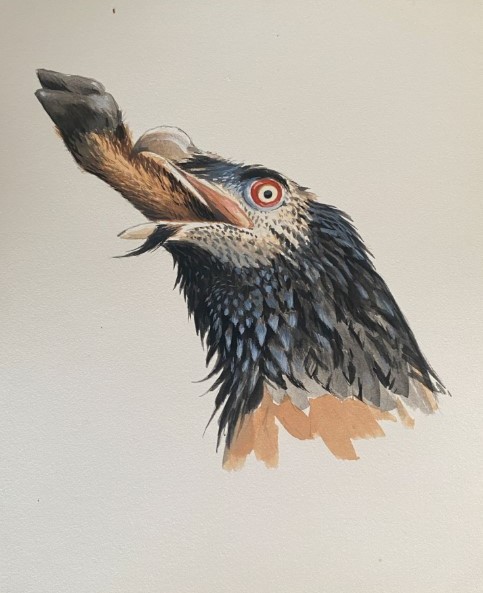 Conserva la naturaleza con arte.
Hazte con estas obras de arte y ayuda al Lince Ibérico.
Entra en encuentronaturewatch.com/subasta/ y  puja hasta el 7 de diciembre 2024.
#encuentronaturewatch #jaénparaísointerior #jaenparaisointerior #jaénterritoriolince #natureWatchJaénTerritorioLince