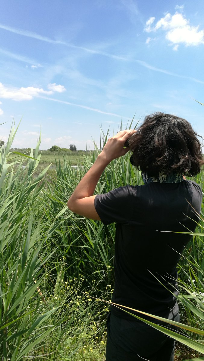 🎉New article! 
#Conservation front lines need experienced troops: the role of a scientific trust in a changing world  

Link: doi.org/10.30456/AVO.2… 
#Ecology #ornithology #birds

Conservation Forum authored by the board members of <a href="/CISO_COI/">CISO</a> and the editors of <a href="/AvocettaJournal/">Avocetta</a>!