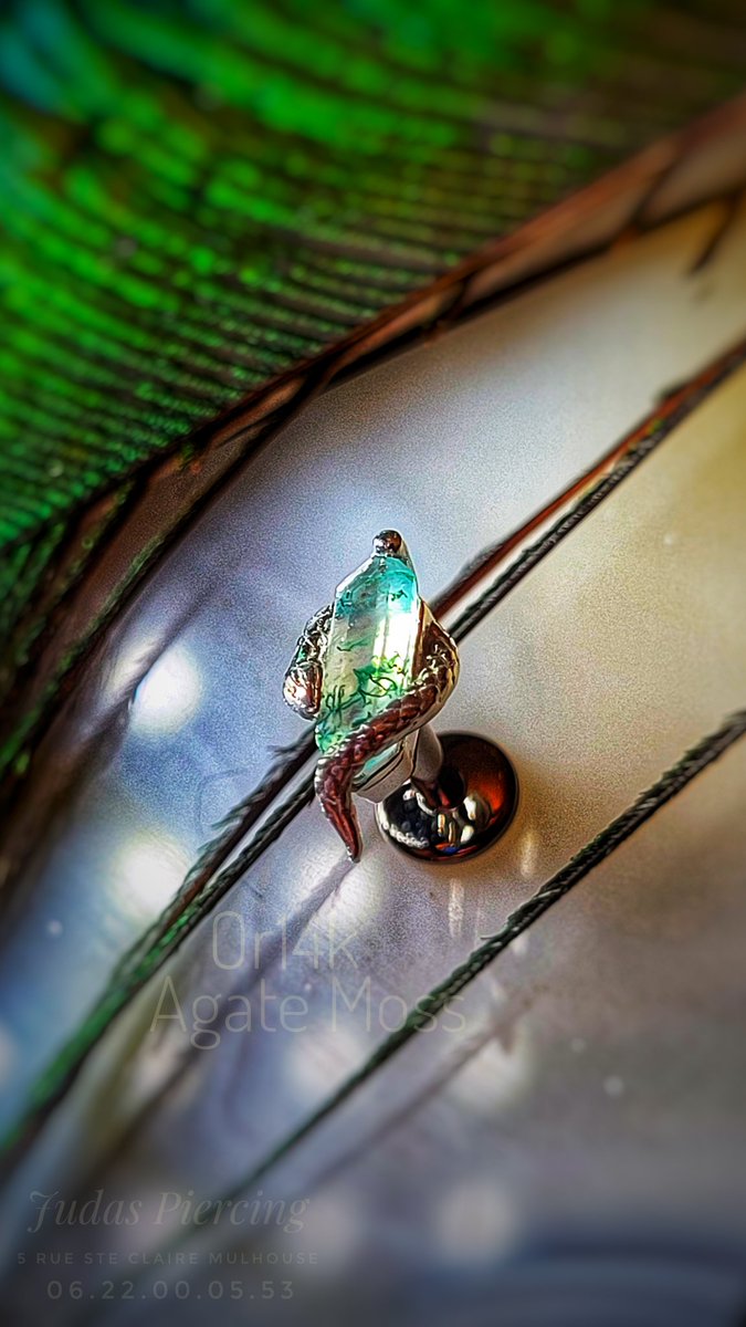 JudasPiercing's tweet image. @buddhajewelryofficial vous présente Eve Was Framed

Un nouveau design audacieux mettant en scène un serpent captivant délicatement enroulé autour de la pièce maîtresse envoûtante en agate mousse, sertie en or massif 14 carats.

#buddhajewelry #evewasframed #agatemousse #Or14k