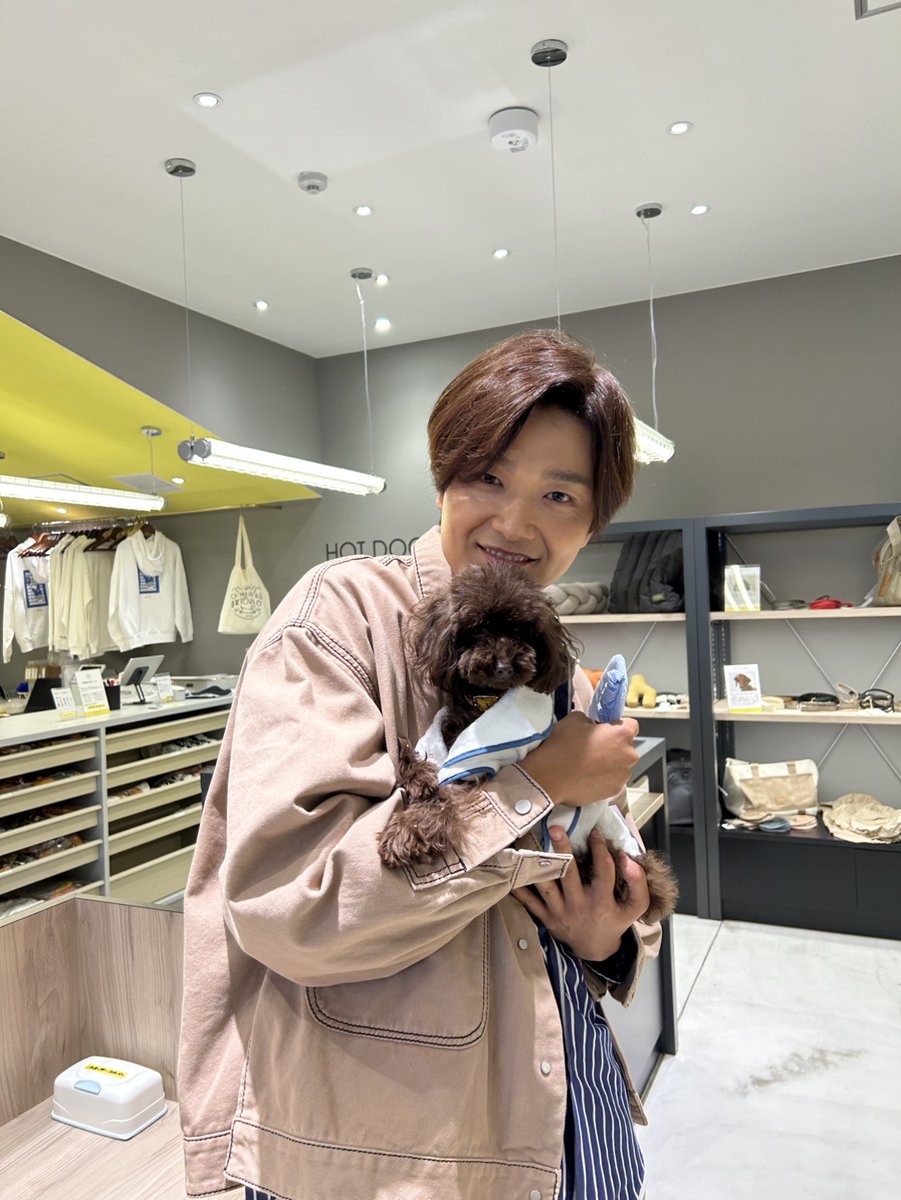 ◢◤#あしたのZIP!◢◤ #ZIP特集 は… 金曜パーソナリティー井上芳雄が